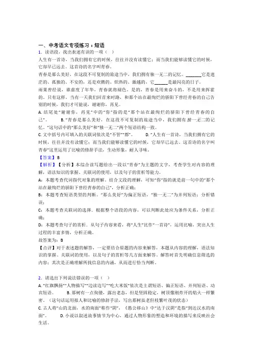 部编初中中考 语文  短语训练试题及答案