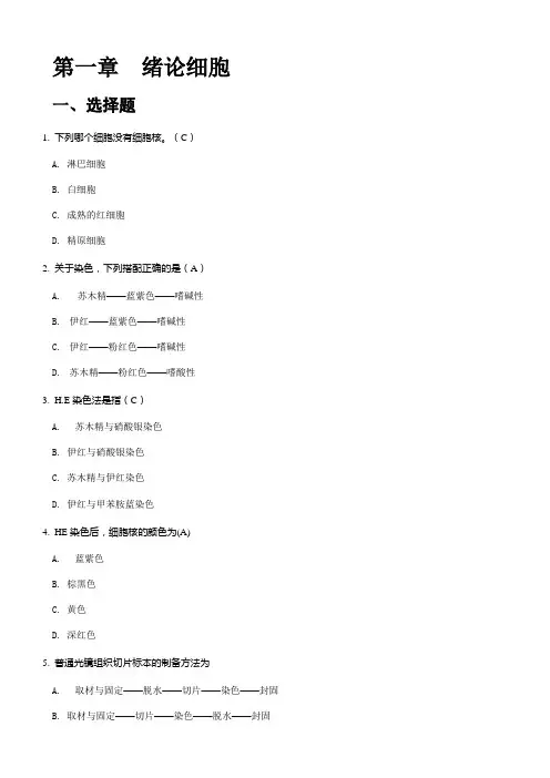 组胚复习题