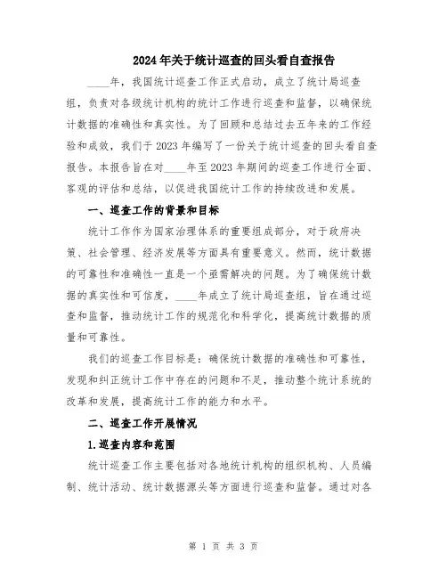 2024年关于统计巡查的回头看自查报告
