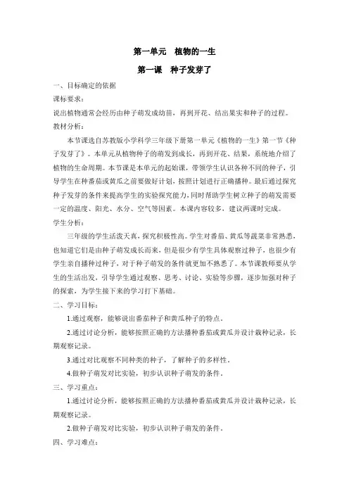 《种子发芽了》精品教案