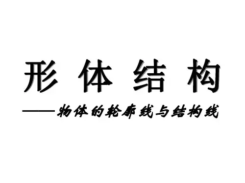 形体结构