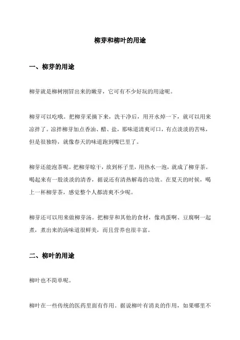 柳芽和柳叶的用途