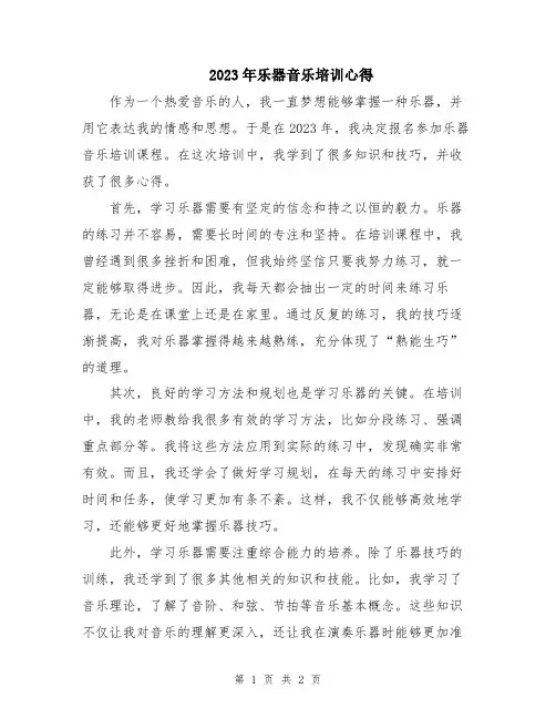 2023年乐器音乐培训心得