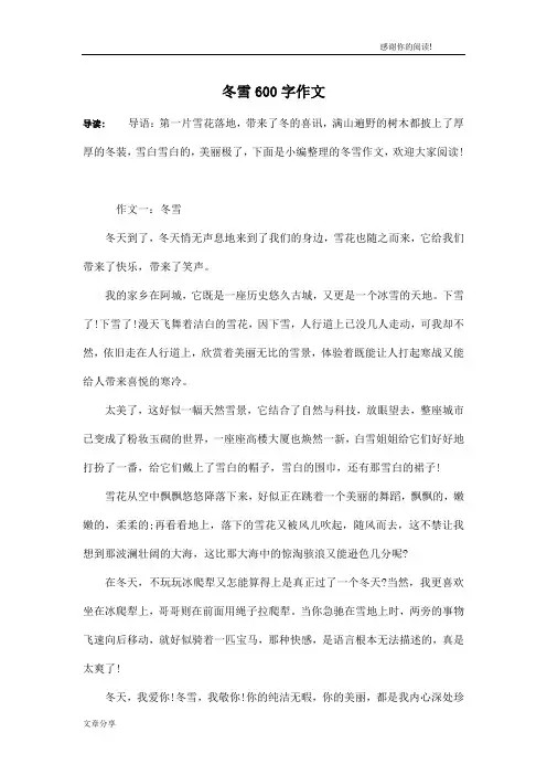 冬雪600字作文