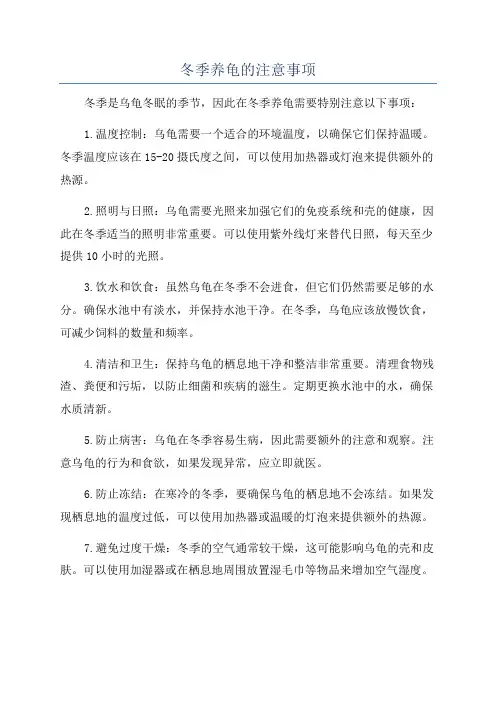 冬季养龟的注意事项
