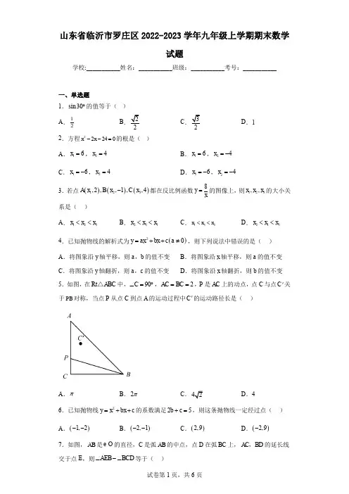 山东省临沂市罗庄区2022-2023学年九年级上学期期末数学试题