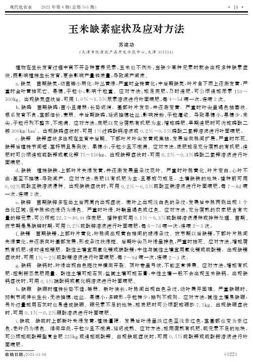 玉米缺素症状及应对方法