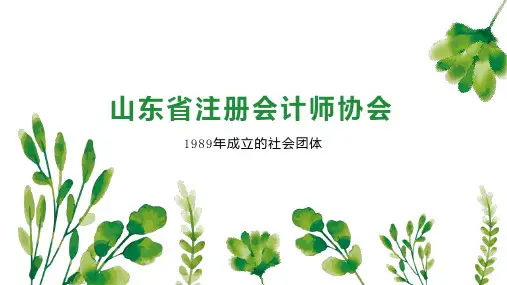 山东省注册会计师协会