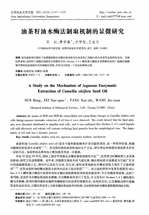 油茶籽油水酶法制取机制的显微研究