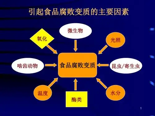食品化学成分及其在保藏中的变化PPT课件
