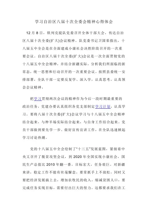学习自治区八届十次全委会精神心得体会