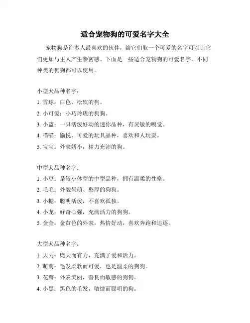 适合宠物狗的可爱名字大全