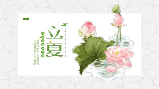 中式手绘小清新夏季夏至PPT模板立夏天夏日小暑大暑节气节日介绍 (54)