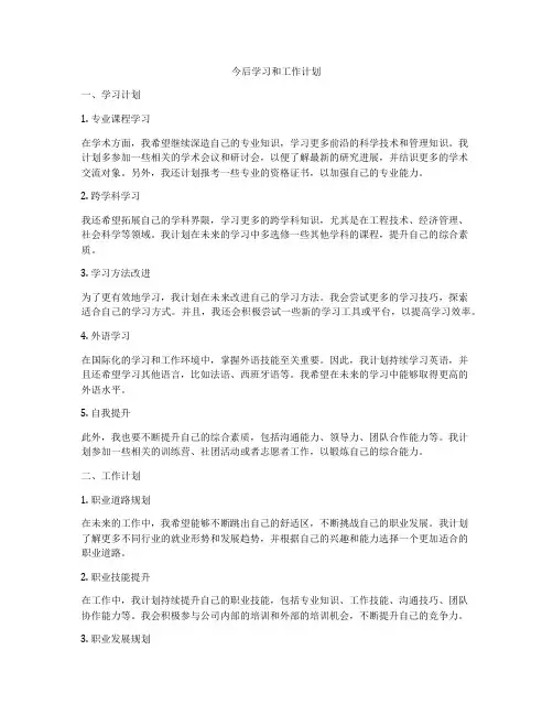 今后学习和工作计划