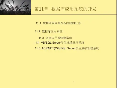 数据库应用系统的开发