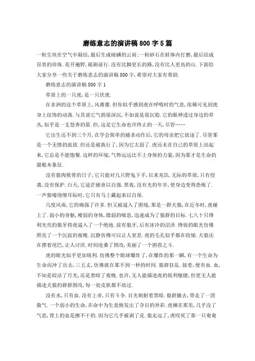 磨练意志的演讲稿800字5篇