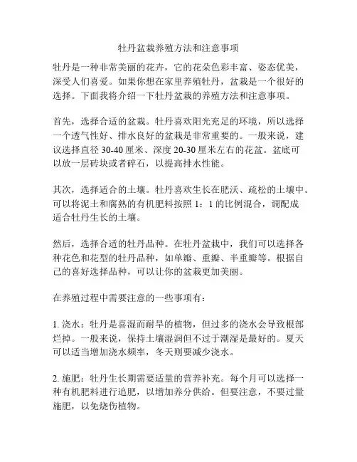 牡丹盆栽养殖方法和注意事项