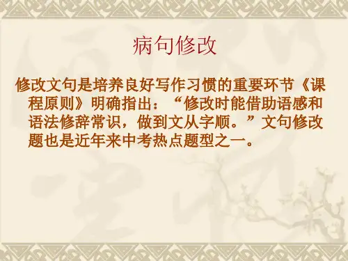 通用语文学科病句修改八项注意