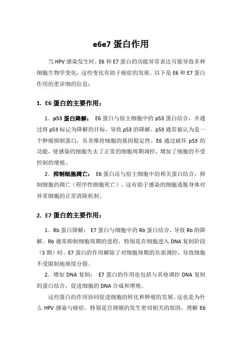 e6e7蛋白作用