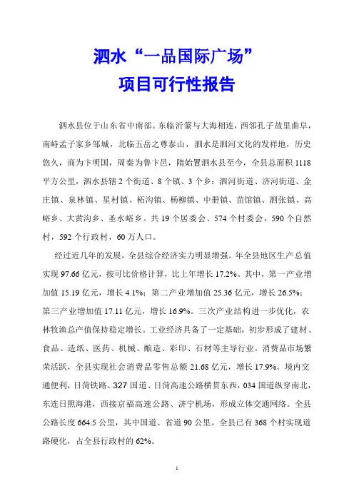 泗水“一品国际广场”项目可行性报告