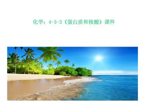 化学：4-3-3《蛋白质和核酸》课件