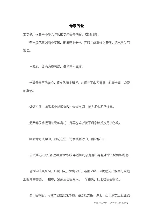 小学六年级散文：母亲的爱