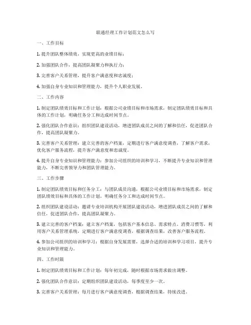 联通经理工作计划范文怎么写