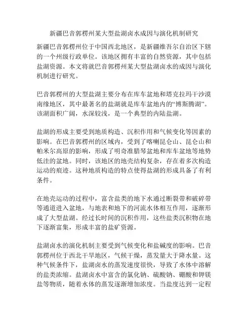 新疆巴音郭楞州某大型盐湖卤水成因与演化机制研究