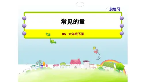 北师大版六年级下册数学课件-常见的量