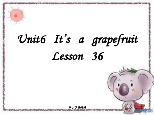 人教精通版英语五年级上册Unit 6《It’s a grapefruit》(Lesson 36)课件