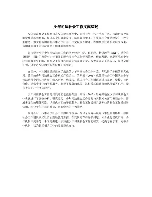 少年司法社会工作文献综述