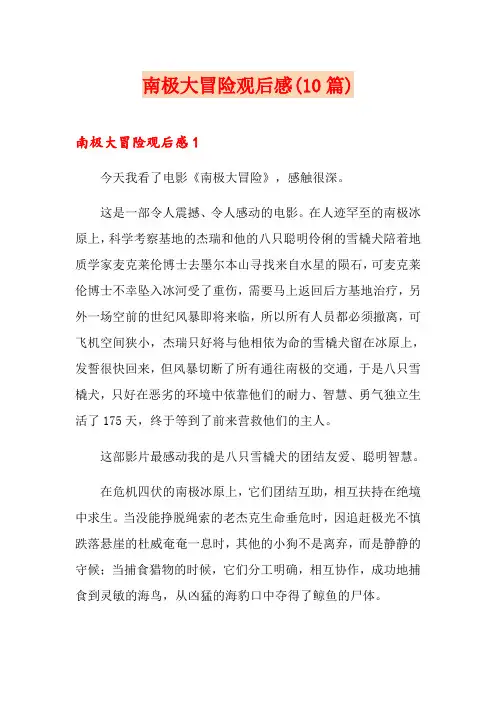 南极大冒险观后感(10篇)