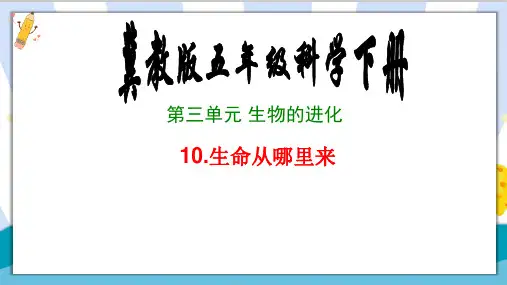 最新冀教版五年级科学下册《生命从哪里来》精品课件