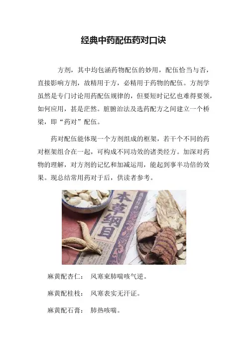 经典中药配伍药对口诀