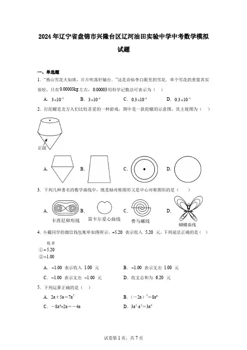 2024年辽宁省盘锦市兴隆台区辽河油田实验中学中考数学模拟试题