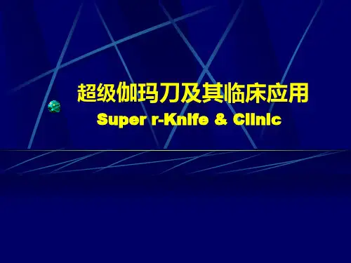 超级伽玛刀的临床应用