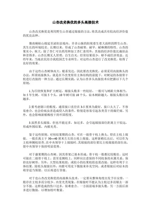 山杏改劣换优的多头高接技术