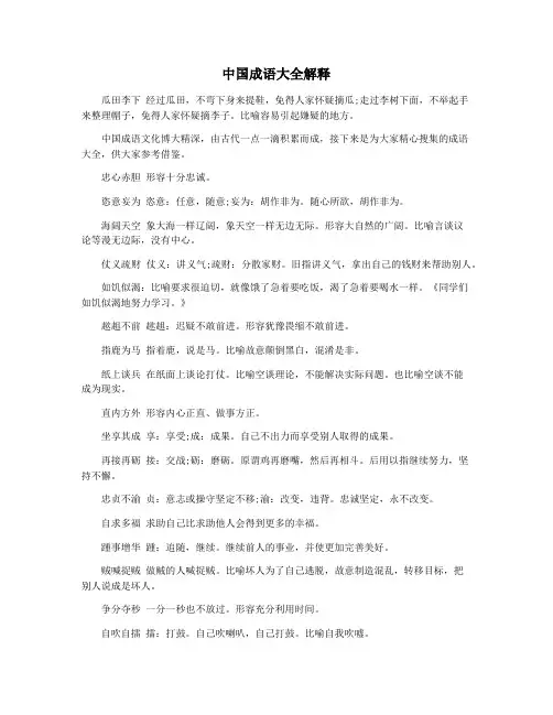 中国成语大全解释