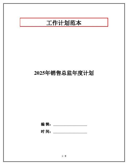 2025年销售总监年度计划