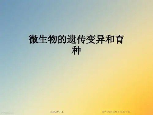 微生物的遗传变异和育种