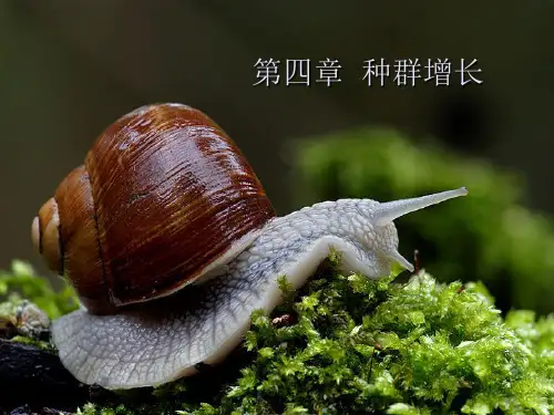 第4章种群增长