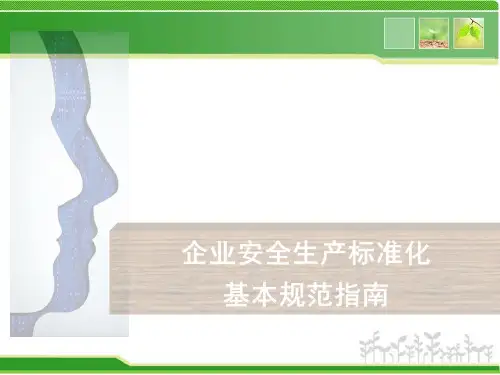 企业安全生产标准化基本规范指导手册