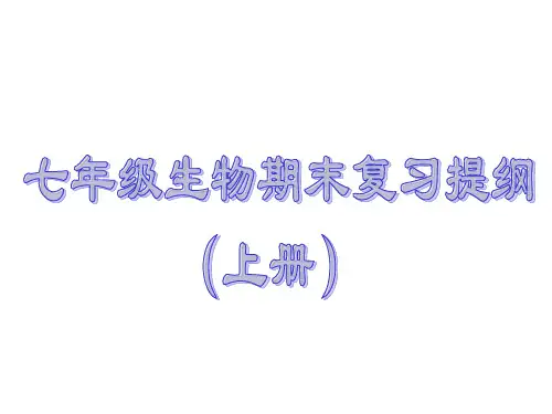 七年级生物七年级生物期末复习提纲课件(上册)