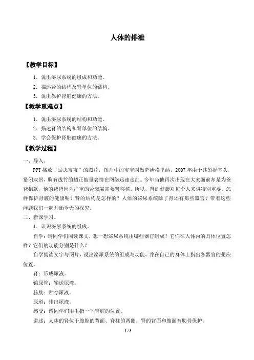 华师大版科学八年级上册：5.4 人体的排泄  教案