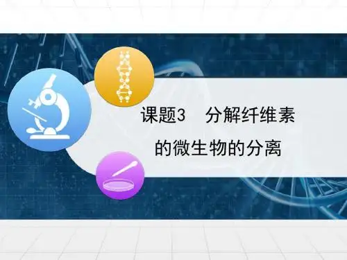 人教版高中生物选修1-2.3《分解纤维素的微生物的分离》精品课件