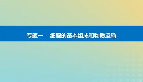 2024届高考生物二轮专题复习专题一细胞的基本组成和物质运输第1讲细胞的分子组成课件