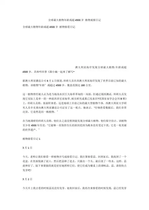 全球最大植物年龄或超4500岁 植物观察日记