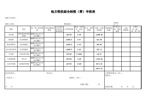 地方税收综合纳税申报表