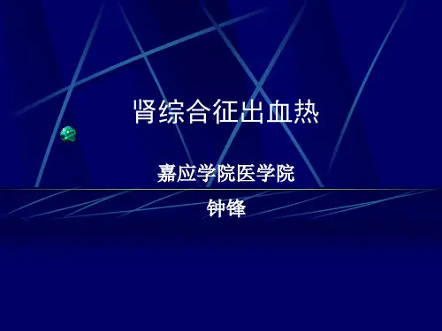 肾综合征出血热