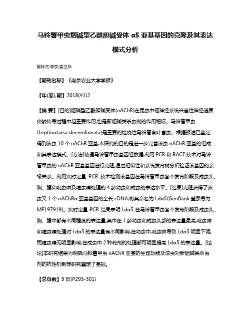 马铃薯甲虫烟碱型乙酰胆碱受体α5亚基基因的克隆及其表达模式分析
